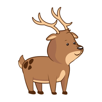 cute deer wildlife image vector illustration eps 10