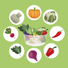 vegetables fresh ingredients vegetarian food vector illustration eps 10