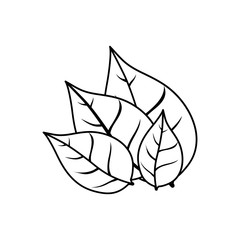 Leaves nature ecology icon vector illustration graphic design