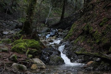 Small stream waterfall