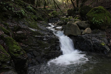 Fototapeta premium Small stream waterfall
