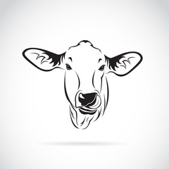 Vector of a cow head on white background., Calf