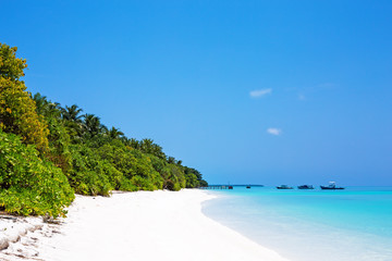 Nature of Maldives island