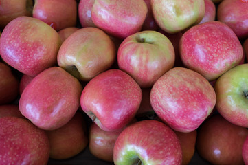 Pink Lady apples for sale at city market
