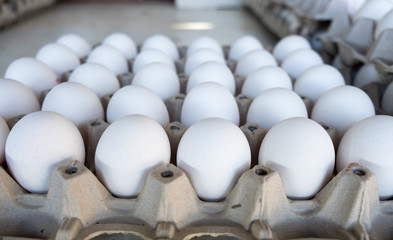 White eggs in tray sold at local farm market