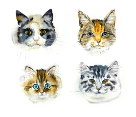 Four cats. Portrait animals. Watercolor hand drawn illustration