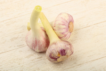 Garlic