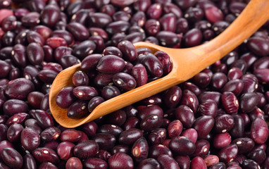 Red bean isolated on white background