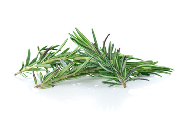 rosemary isolated on white background
