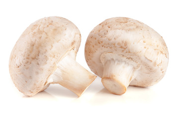 two fresh champignon mushroom isolated on white background