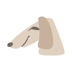 dog head vector illustration style Flat cartoon