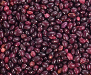 Red bean isolated on white background