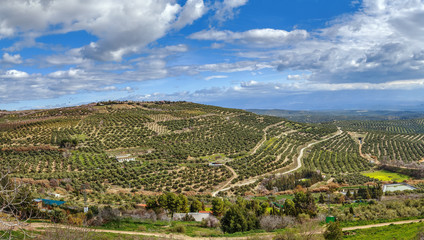 Fototapeta na wymiar View of the neighborhood of Ubeda, Spain