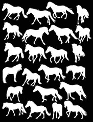 twenty three white horses on black