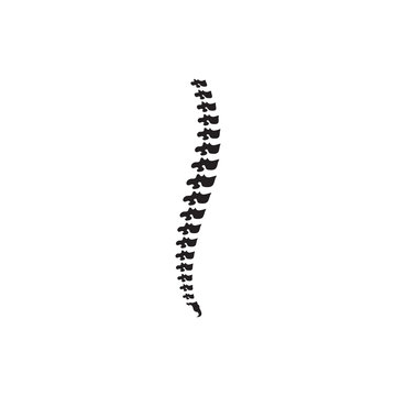 spine diagnostic symbol