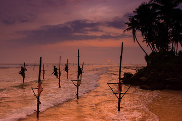 Silhouettes of the traditional Sri Lankan stilt fishermen at the sunset in Weligama, Sri Lanka. Stilt fishing is a method of fishing unique to the island country of Sri Lanka