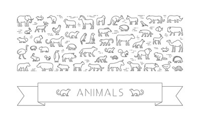Line banner for pets, african and australian animals