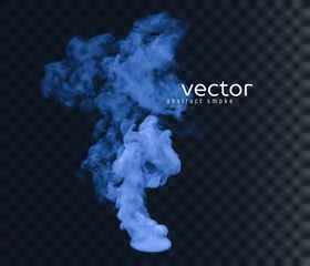 Foto op Plexiglas Vector illustration of smoke. © julvil