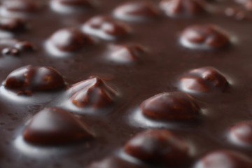  black chocolate with hazelnuts