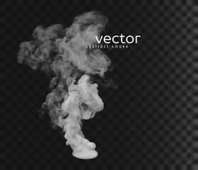 Foto op Canvas Vector illustration of smoke. © julvil