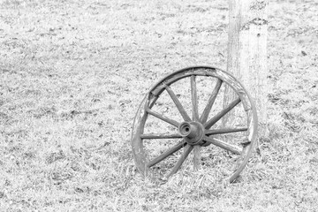 Fototapeta na wymiar Old wooden wheel leaning on a tree trunk.