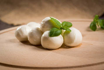 mini mozzarella on a rustic background