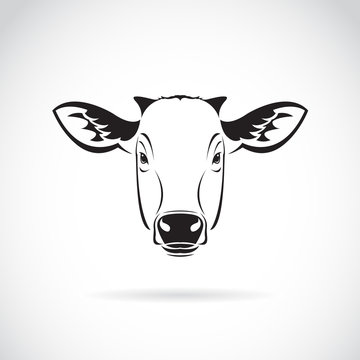 Vector of a cow head on white background. Farm Animal.