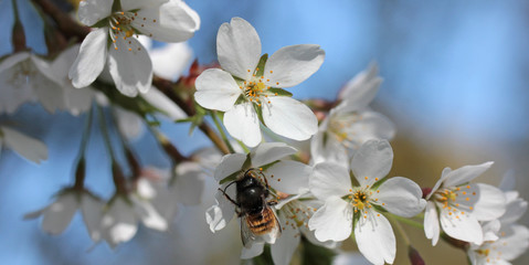 perfect spring weather