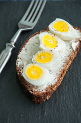 Rye bread bruschetta.  Quail Eggs and cream Cheese sandwich served on a stone board on blue background. Close up.