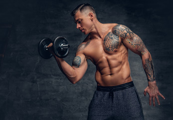 Fototapeta na wymiar Studio portrait of muscular male doing biceps workouts with dumbbells.