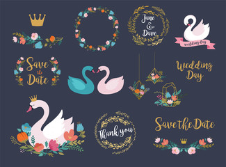 Wedding and birthday set with swan illustrations, lettering, flowers and elements © Marina Zlochin