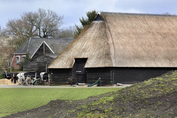 Historic farm and some cows in Orvelte