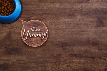 Bowl of dry kibble dog food. Mmm yummy speech bubble. Healthy pets feed. Blue plate on wooden rustic background.