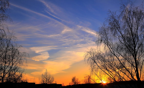 The sunset sky