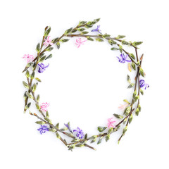 Obraz na płótnie Canvas Pussy-willow branches with flowers hyacinth circle frame. Decorative wreath on white background perfect for easter card or invitation.
