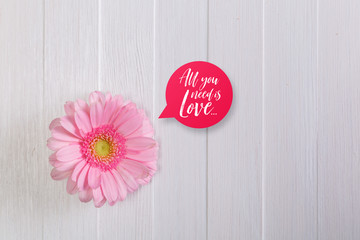 Pink gerbera flower on white wood vintage background. 8 march or Valentines day love design. All you need is love. Painted wooden planks.