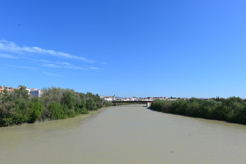 Fototapeta na wymiar Guadalquivir und Puente Romano in Cordoba