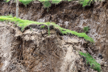 Landslide collapsed with grass.