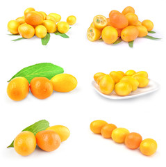 Collage of cumquats over a white background