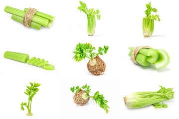 Collage of celery