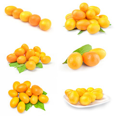 Set of cumquats isolated on a white cutout