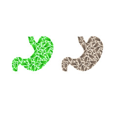 Stomach silhouette with leaves