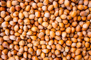 hazelnuts background. Background from wood nuts