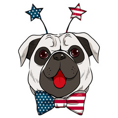Dog celebrating 4th of July showing big red tongue and stars headband accessory with United States flag