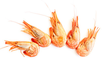 shrimps isolated on white. Steamed  shrimp