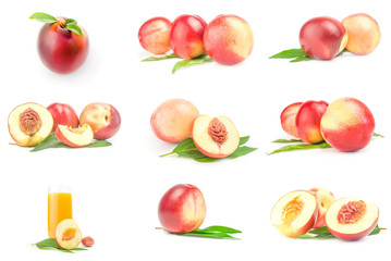Collection of juicy ripe peaches on a background