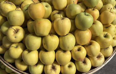 Golden delicious elma cinsi