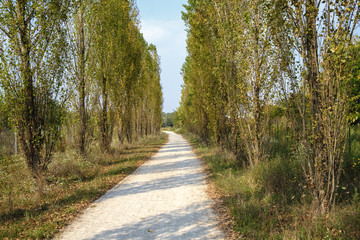 Milan (Italy): park of Grugnotorto at fall