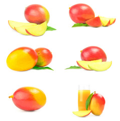 Group of mango red on a white background