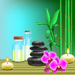 Vector illustration of spa products on the colored background